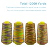 Serger Thread, All-Purpose Thread for Sewing, Rainbow Thread, Variegated Polyester