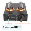 Vacuum Tube Amplifier Preamplifier Phono Preamp MM Player Amp AUX