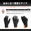 Morethan MT-GVP-010 Winter Gloves (M/Black) Fleece Lined (Windproof/Warm/Smartphone Touch/5℃ Compatible)