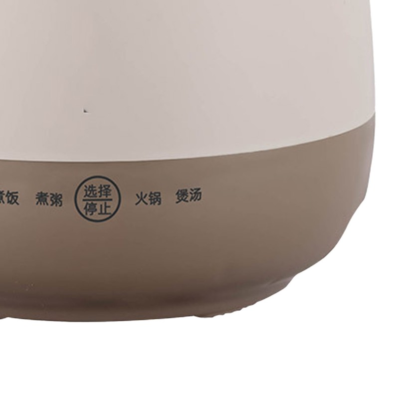 Electric Rice Cooker Multifunctional Anti Stick Smart Mini Rice Cooker