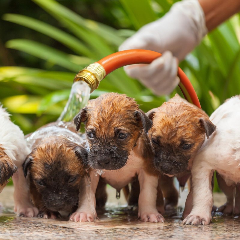 YESTAR 50FT Rubber Garden Hose Flexible Heavy Duty Orange