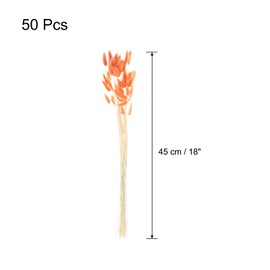 sourcing map 50pcs Natural Dried Pampas Rabbit Bunny Tails Dried Flowers 18" Mini Pampas Grass Lagurus Ovatus Bunch for Home Floral Decor, Orange