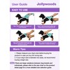 Jollywoods 3 Pack Washable Female Dog Diaper Onesie Sanitary Pantie