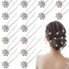 20 Pieces Bride Hair Pins White Crystal Rose Flower Hair