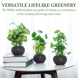 MyGift - Trío moderno de plantas artificiales de hojas verdes variadas en macetas decorativas redondas de cerámica café, follaje sintético, plantas de interior de mesa, juego de 3 piezas