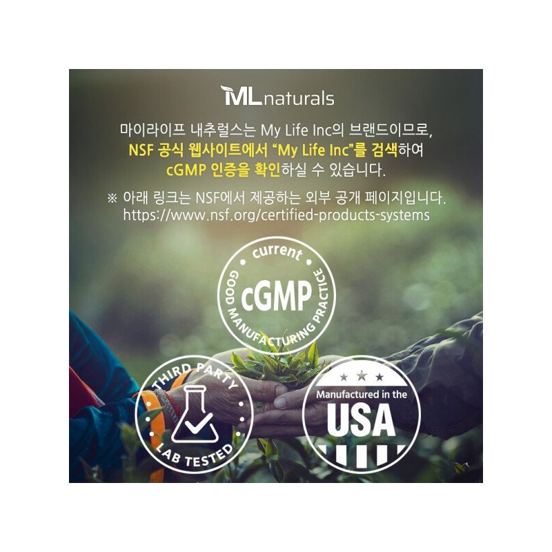 2통 마이라이프 내추럴스 마이크로나이즈드 크레아틴 모노하이드레이트 파우더 500g (분말) 2