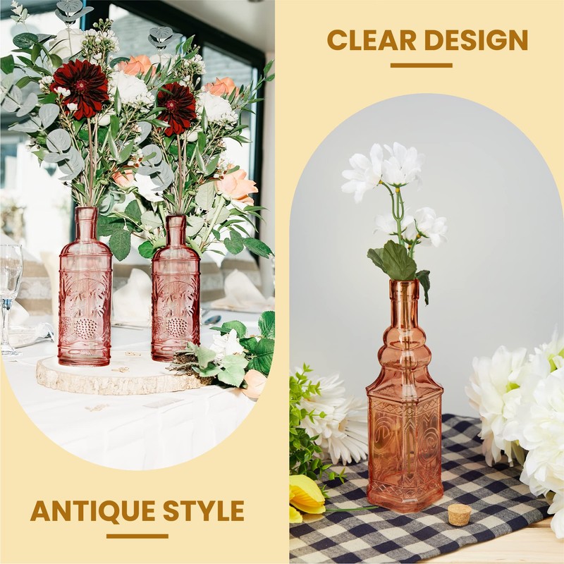 BULK PARADISE Assorted Reddish Glass Bottles with Corks, 6 Pack,