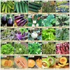 Heirloom Seeds for Planting Vegetables and Fruits - Survival Essentials