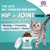 Bailey & Buddies Joint Care for Cats | Joint Supplement