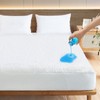 SPRINGSPIRIT 100% Waterproof Mattress Protector Queen Size Hypoallergenic Terry Mattress