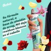 Batiste Shampoo en Seco Original 200 ml. Refresca el Pelo