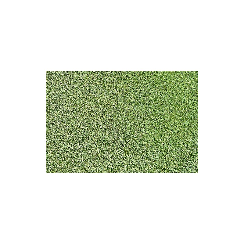 1/4 Pound Seed: Creeping Bent Grass Lawn Seed - Used
