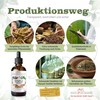 Phoenix der Lebenskraft EhrlichEx & AnaplasmEx Life Elixir - Herbal