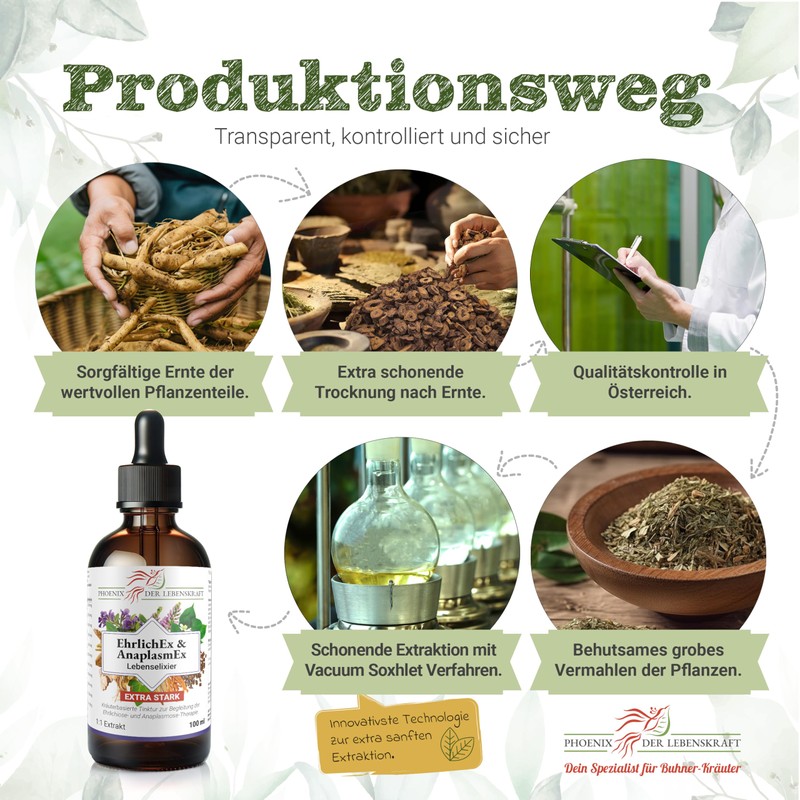 Phoenix der Lebenskraft EhrlichEx & AnaplasmEx Life Elixir - Herbal