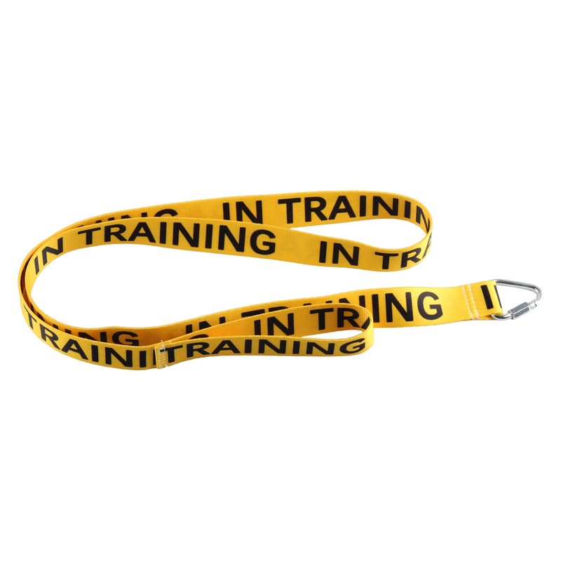 Nervous Dog Leash, Work Dogs, Rescue Dogs, Anxious Dogs, Gift