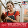 Kalmbach Feeds 17% Organic Crumbles Feed for Layer Chickens, 50