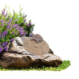 Ocultadores de Llaves en el Exterior, Decoración para Ocultar Llaves de Roca Falsa, Resistente Al Agua y Seguro para Guardar Llaves de Repuesto, Ocultar una Llave de Roca Falsa