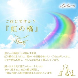 Lulu's Lulu's Pastel Rainbow Bouquet Bear, Rainbow Bridge, Plush, Bear, Teddy Bear, Artificial Flower, Size (W x H x D): 9.1 x 9.8 x 7.9 inches (230 x 250 x 200 mm), Rainbow Lulu's-0719