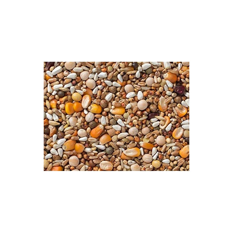 Premium 22 Pigeon Mix (13.25%) 20 lbs