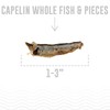Icelandic+ Plus Capelin Whole Fish & Pieces Cat Treat 1.5-oz