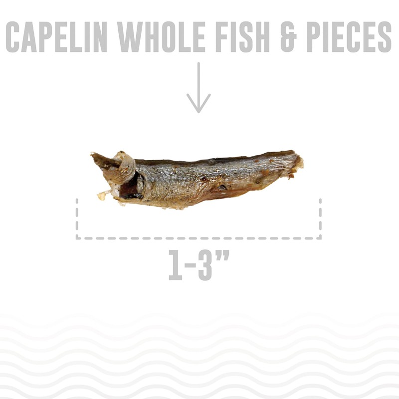 Icelandic+ Plus Capelin Whole Fish & Pieces Cat Treat 1.5-oz