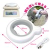 DOGPET Dog Leash Extendable Leash Long Leash for Small Dogs,