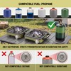 2-Burner Portable Propane Camping Stove with Windshield, 30000 BTU Foldable
