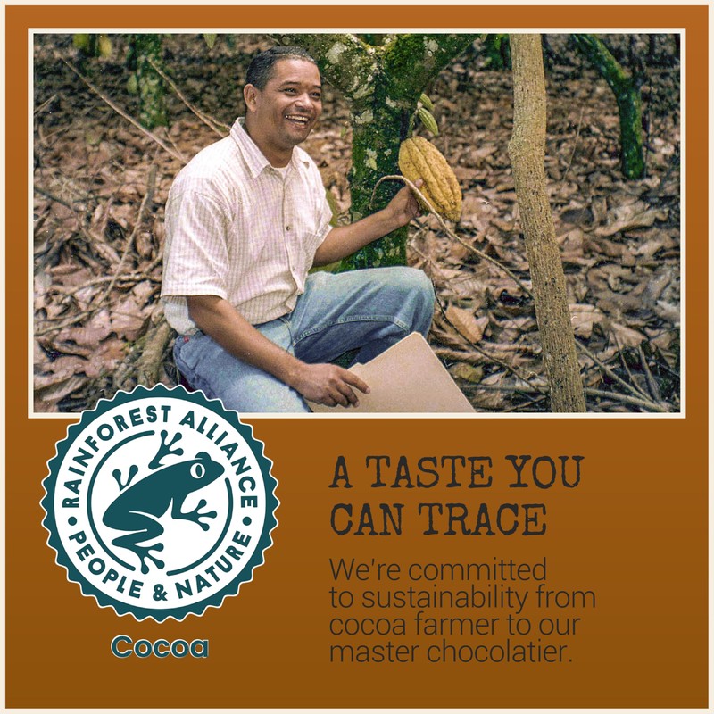 Chocolove Hazelnut Milk Chocolate Bars | 33% Cocoa | Roasted