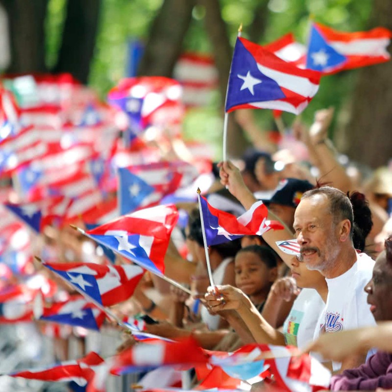 Anley Puerto Rico Mini Flag 12 Pack - Hand Held