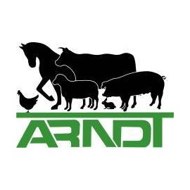 Raidl Maxi Livestock Marker - Green (Pack of 10)
