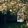 EBOOT 2 Pcs Hanging Chain for Bird Feeders, Planters, Lanterns