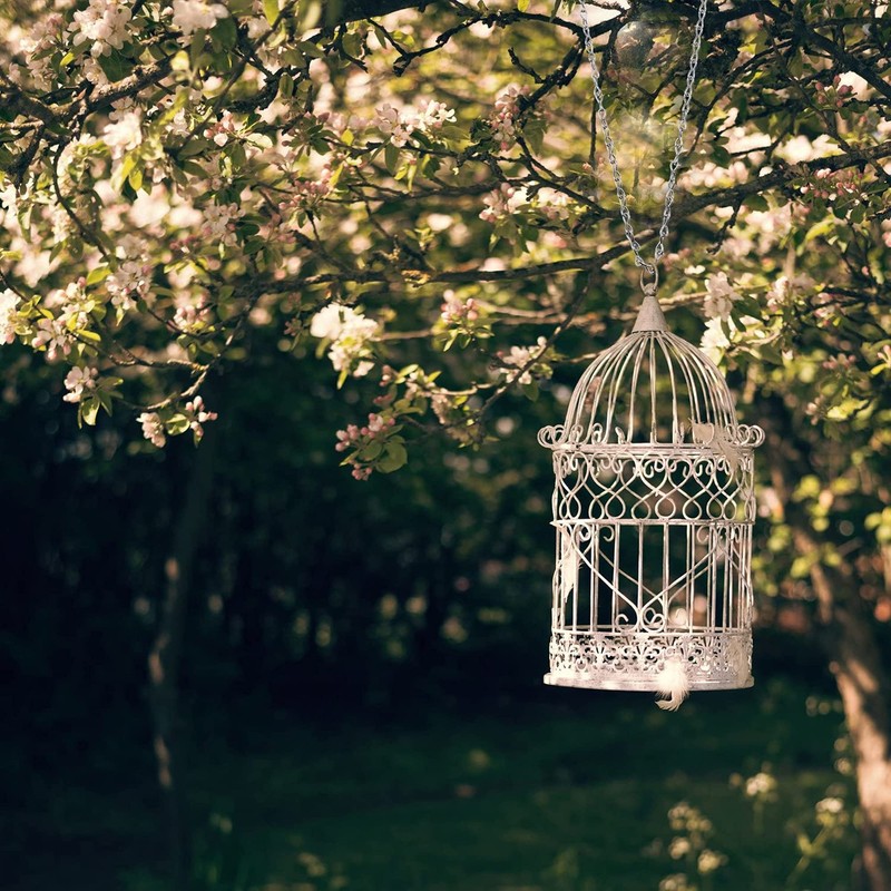 EBOOT 2 Pcs Hanging Chain for Bird Feeders, Planters, Lanterns