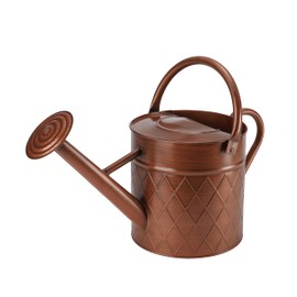 BLstyle 1.75 Gallon Outdoor Metal Watering Can for Garden Plants,Copper Color Watering Can with Removable Spray Spout, Ideal for Outdoor Use (Copper)