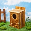 Memorywuu 2 Pcs Owl House Screech Owl Box for Outdoors