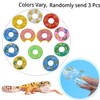 Bearded Dragon Swimming Pool with Inflatable Float Set - Foldable