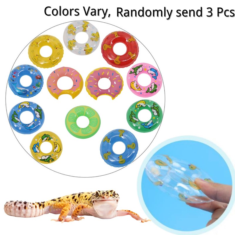 Bearded Dragon Swimming Pool with Inflatable Float Set - Foldable