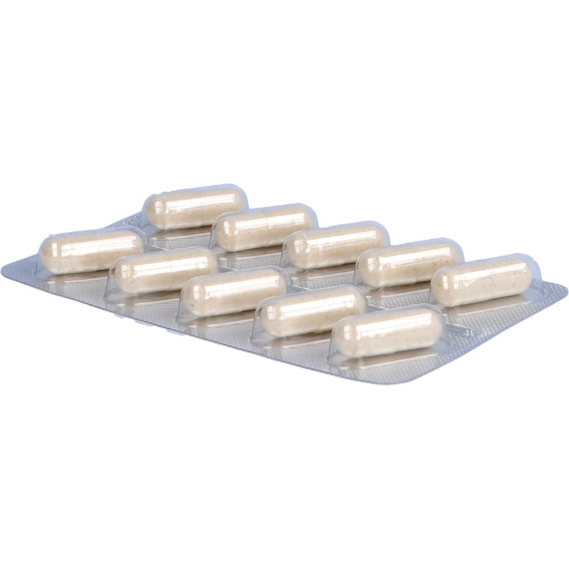 Enzymatine Capsules Pack of 120