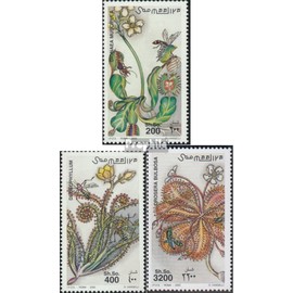 Prophila Collection Somalia 851-853 (complete edition) 2000 carnivorous plants (stamps for collectors) plants / mushrooms