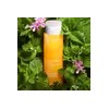Clarins 토닉 배스&샤워 컨센트레이트 200ml(입욕제) Tonic Bath & Shower Concentrate