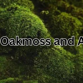 Gift for Teacher Day from Student Teacher Appreciation Gift Candle Best Educator Thank Your Present Smells Like Winter Break Decoration - Scents: Oak Moss + Amber, Size: 4 oz. candle (mini) Amber Jar