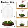 HEWYIOS Light Up Hole in One Golf Ball Display Case，Can
