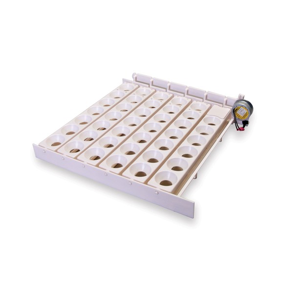 Little Giant Little Giant? Automatic Egg Turner | 41 Eggs