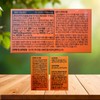 Better Haru Store Partner ERHANA ERr731 Effect Estrogen Female Hormone