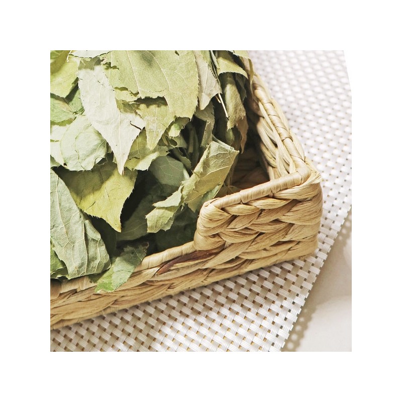 Chamduri Eumyang Gwak Samji Guleaf Herb 200g (domestic) natural product