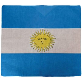 Trade Winds Wholesale Lot of 12 Argentina Country Black Outline 100% Cotton 22"x22" Bandanna