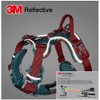 WINHYEPET True Love No-Pull Dog Harness, Adjustable Outer Vest, Reflective