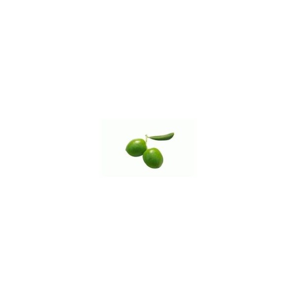 EPS Olivier Pileje Extrait liquide de feuilles, 60 ml