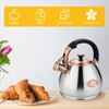 Tea Kettle Stovetop Whistling Kettle Teapot, 3Quart Tea Pot Stainless