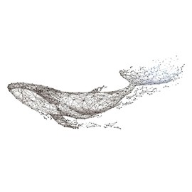 Felimoa Wall Sticker Whale Monotone Waterproof Wallpaper Sticker Approx 11.8 x 35.4 inches (30 x 90 cm)