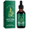 Mullein Drops for Lungs 60 ml - Mullein Leaf Extract